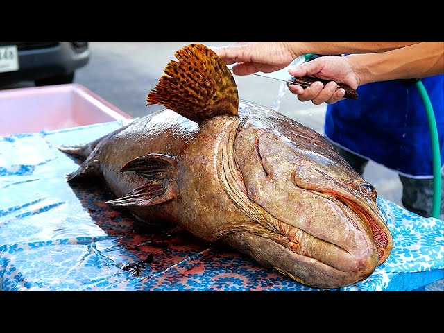 Thai Street Food - GIANT FRIED GROUPER FISH Bangkok Seafood Thailand | Travel Thirsty