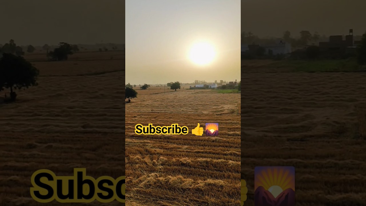 village Morning view,shorts 