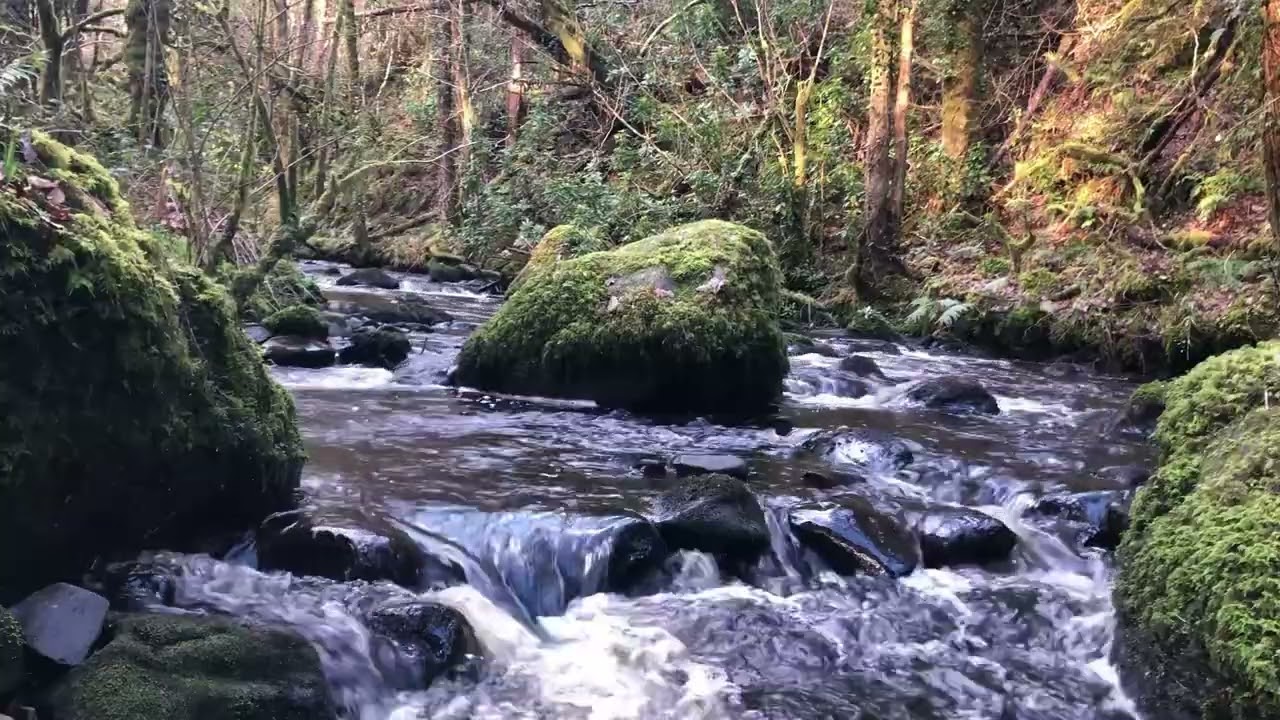 RIVER SOUNDS OVER 5 HOURS OF NATURAL COMFORTING SOUNDS FOR SLEEP, STUDY AND CHILL.