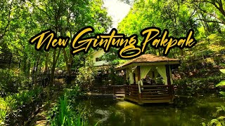 NEW GINTUNG PAKPAK ecopark