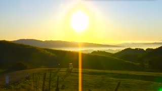 Welcome To Solarcity Nz