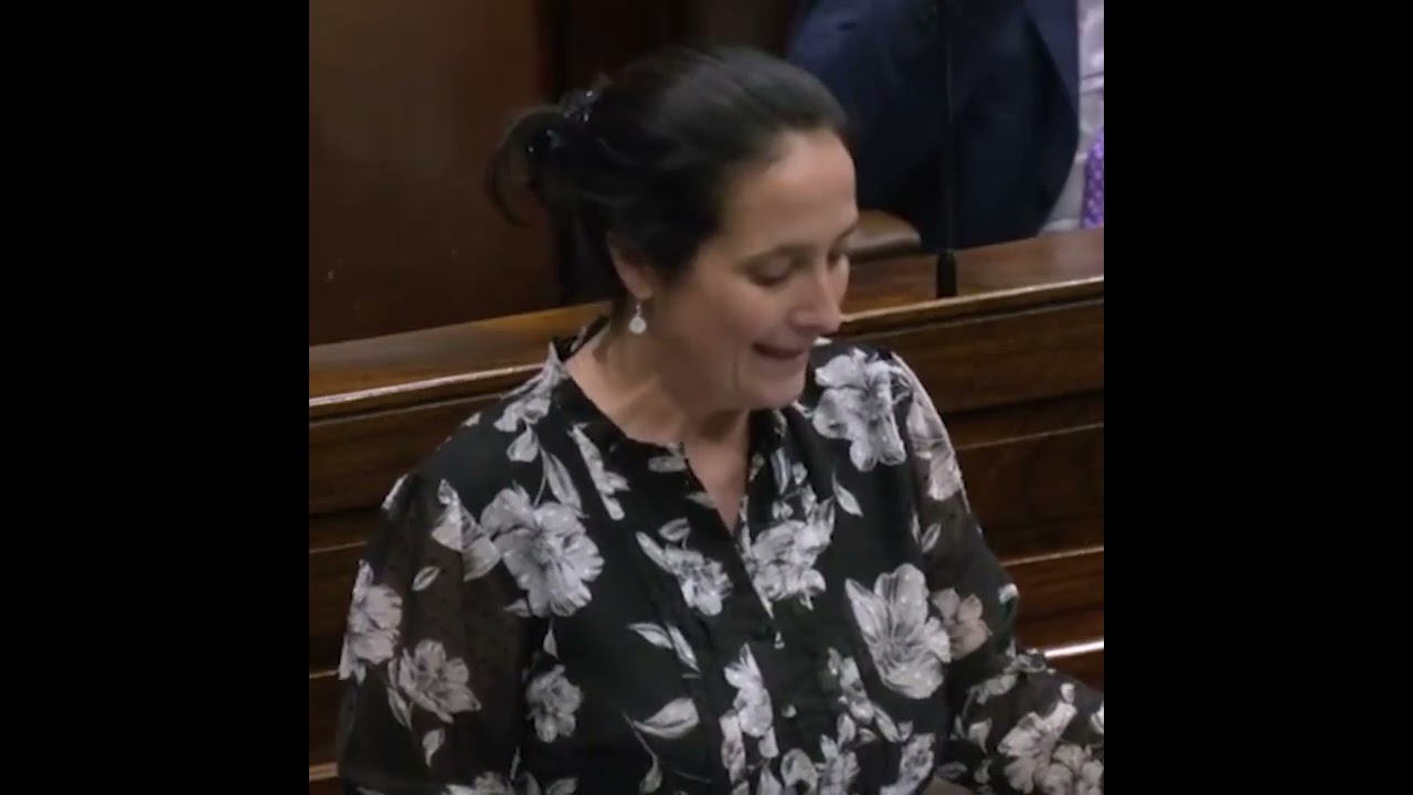 Irish Media Minister Really Wants Citizens To Report Online 'Hate Speech'