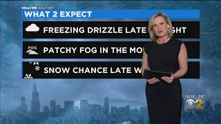 Celebrity Chicago Weather: Freezing Drizzle Overnight Wealth