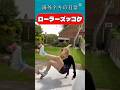 ローラースケート ズッコケ / Roller skates fails #インラインスケート #ハプニング #ローラーブレード