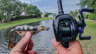 Absurd Duck Fishing Lure Challenge - Is This Lure Worth Buying?