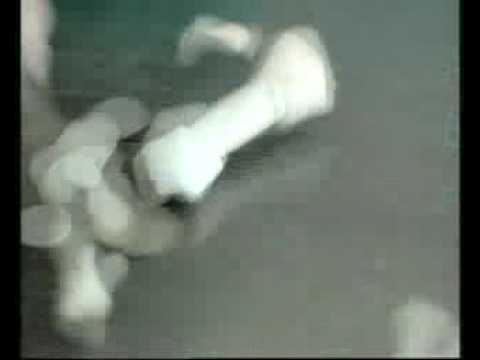奇華餅家-至尊月餅