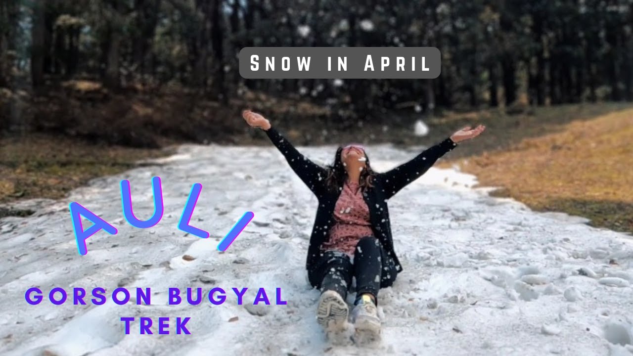 Gorson Bugyal trek in Auli | औली | Part-1 | Vlog 20 |