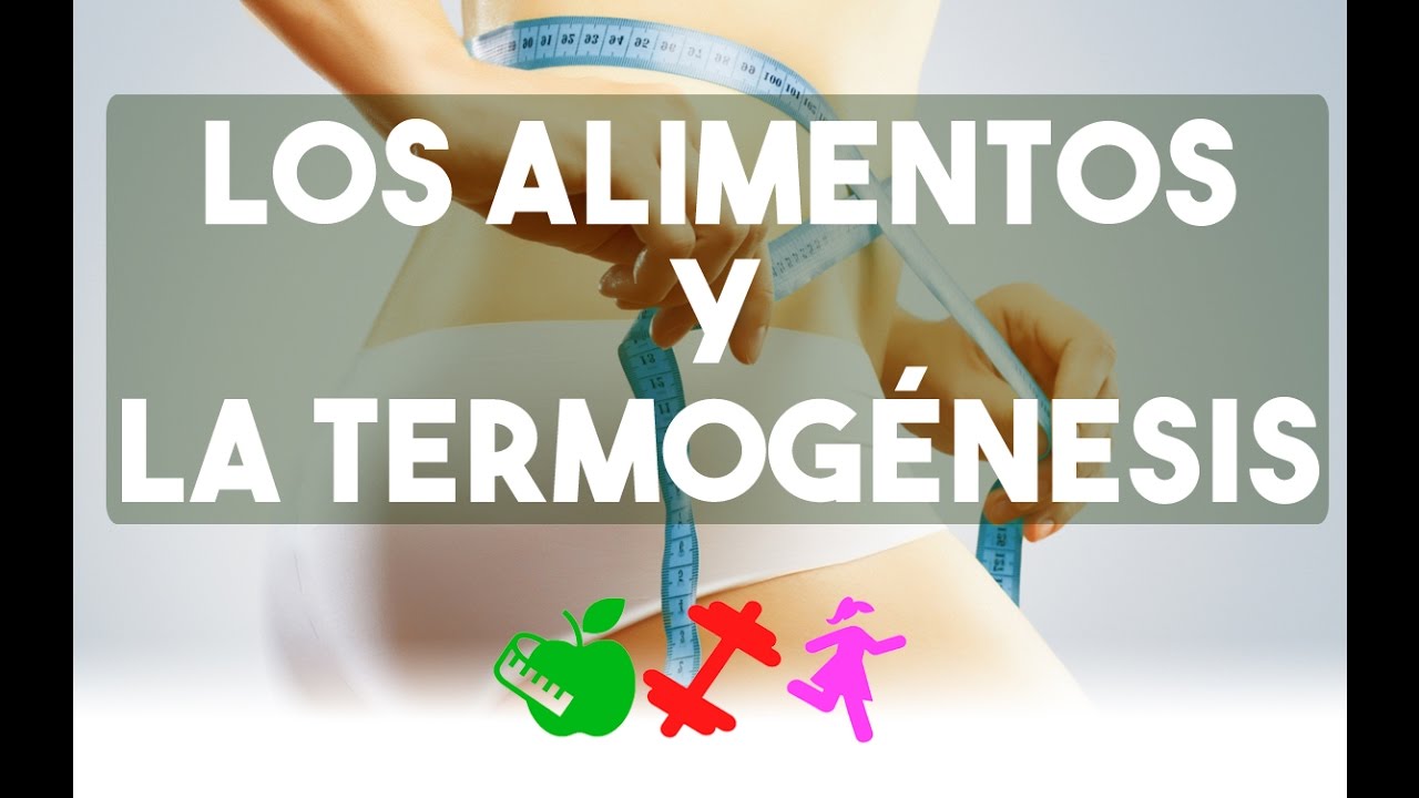 Los alimentos y la termogénesis /DGS/ Melissa YouTube