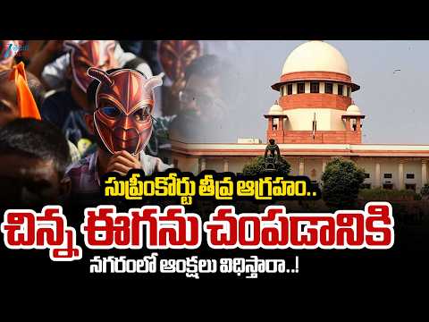 Supreme Court Serious On Delhi Security Restrictions Over CJP Protest | Zee Telugu News