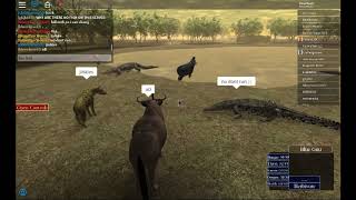 Roblox Wild Savannah Spring Bok Herd Apphackzone Com - wil d savannah hack roblox