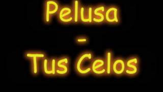 Pelusa - Tus Celos chords