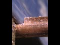 Object Videos Collection