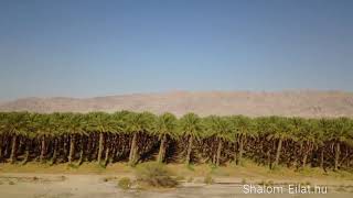 Utazas Kirándulás Izraelben Eilat.hu Társaságában