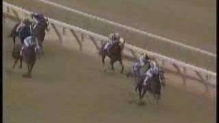 Life's Magic - 1985 Breeders Cup Distaff