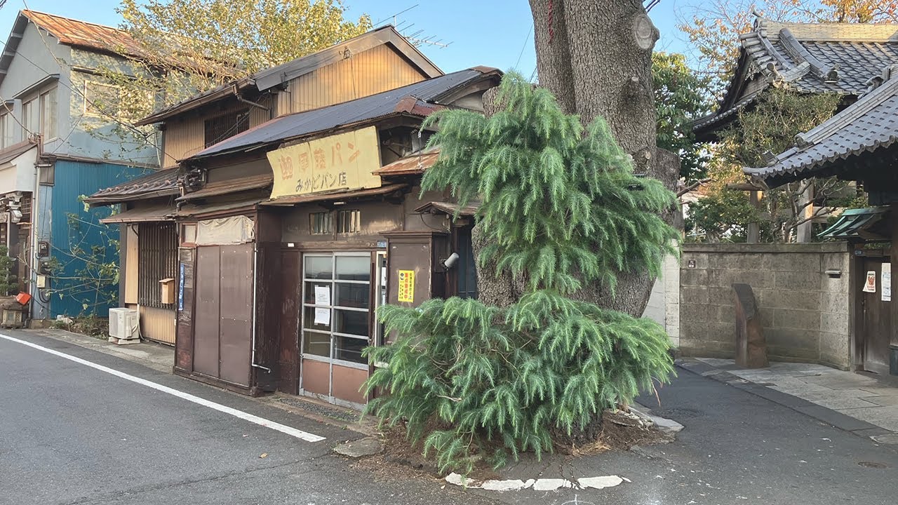 東京 谷中 路地裏散歩 4K HDR