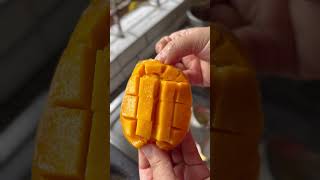 Mango Bhapa Doi #mangorecipe #viralreview #viralrecipe #trendingvideo