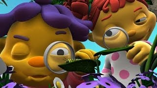 Sid the Science Kid   - The Magnification Observation
