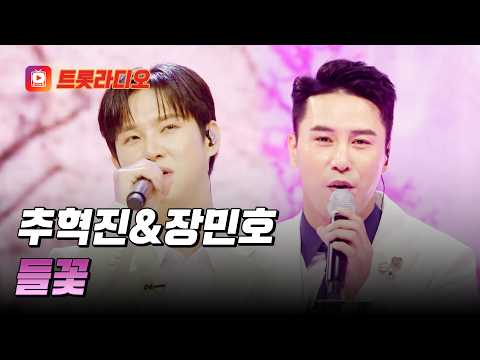 가슴 아려오는 절절함💧 추혁진&장민호의 '들꽃'♪ #트롯라디오 #TVCHOSUNMUSIC (TV CHOSUN 250313 방송 외)