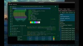 C++ ImGui Ned Editor and Terminal Embedded Demo