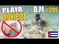 Encontramos MUCHO ORO en las playas de CAYO COCO (restringidas a cubanos) - Detección Metálica 395