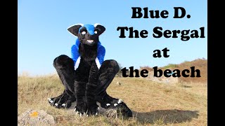 Blue D. The Sergal at the Beach