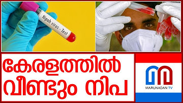 കേരളത്തില്‍ വീണ്ടും നിപ സ്ഥിരീകരിച്ചു l again nipah virus confirmed in kerala malappuram