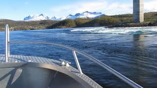 Amazing, the World's Most Powerful tidal Current, Saltstraumen in Bodø, Norway