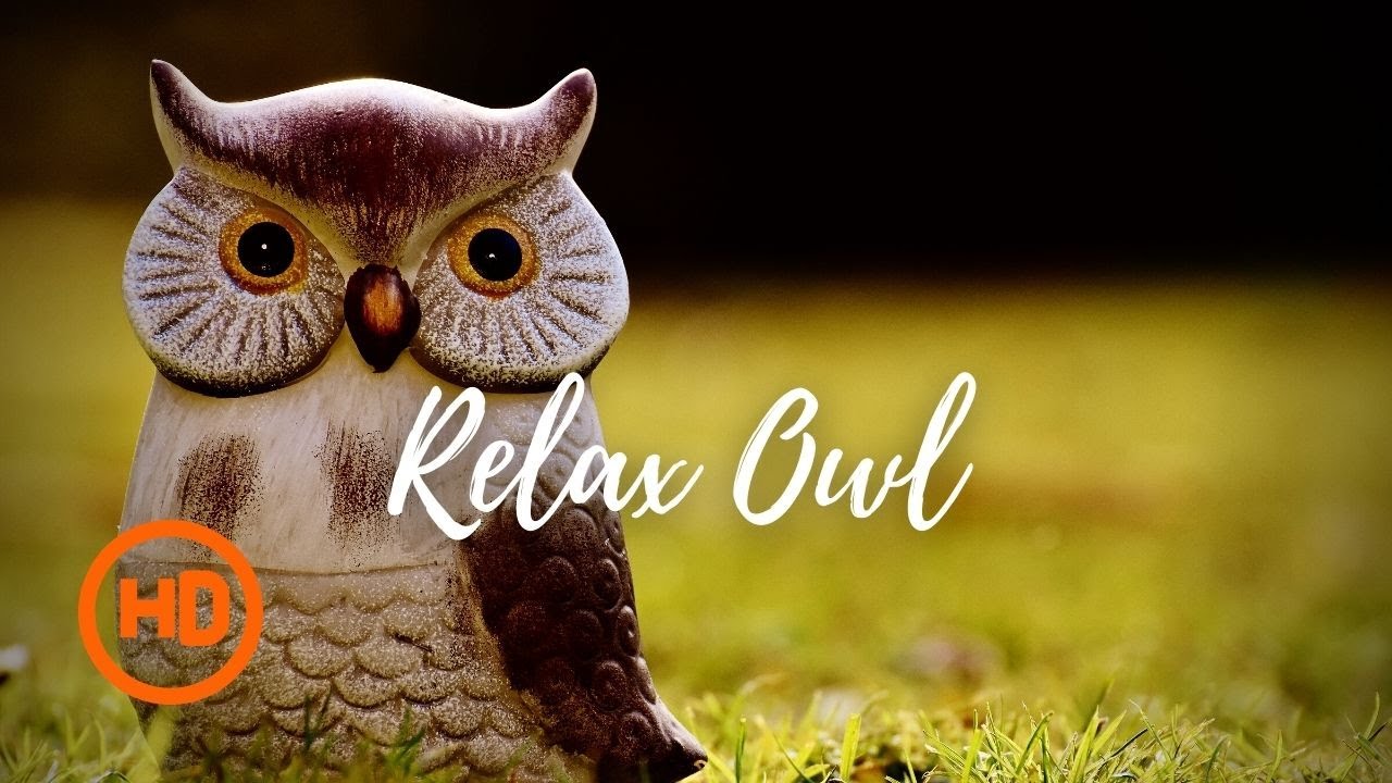 Relax Owl / Music for sleep / Meditation / Relax / Sleep / Sounds / Nature / Made in Ukraine