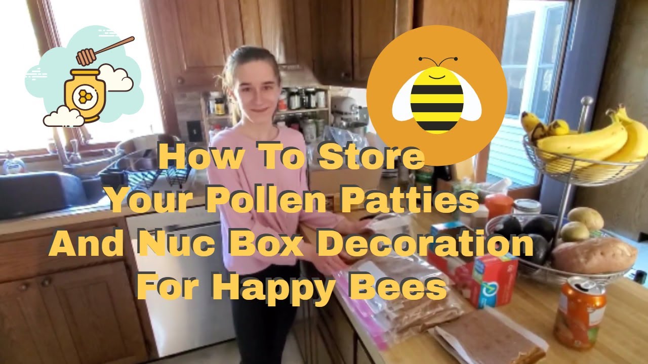 How To Store Your Honey Bee Pollen Patties YouTube