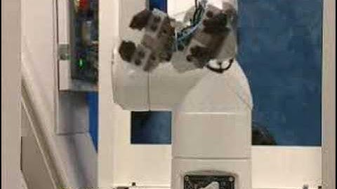 Doosan Lynx 220 with Staubli Tx60L