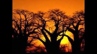 Don Laka - Song for Mapungutwe