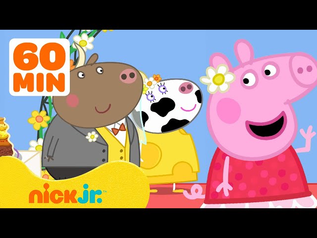 Peppa Pig's Wedding Adventures! 🐷 | 60 Minute Compilation | Nick Jr. class=