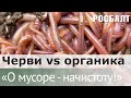 Подкаст "О мусоре - начистоту". Как черви помогают перерабатывать органику