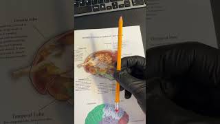Famous 🧠 The Hidden Code of Consciousness | Unlock Your Mind’s Power 🔍 Wealth