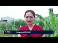 Bài toán công nghệ xử lý rác thải tại Việt Nam   VTC1