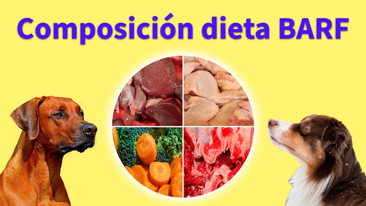 👉 Qué contiene la DIETA BARF para PERROS ❓