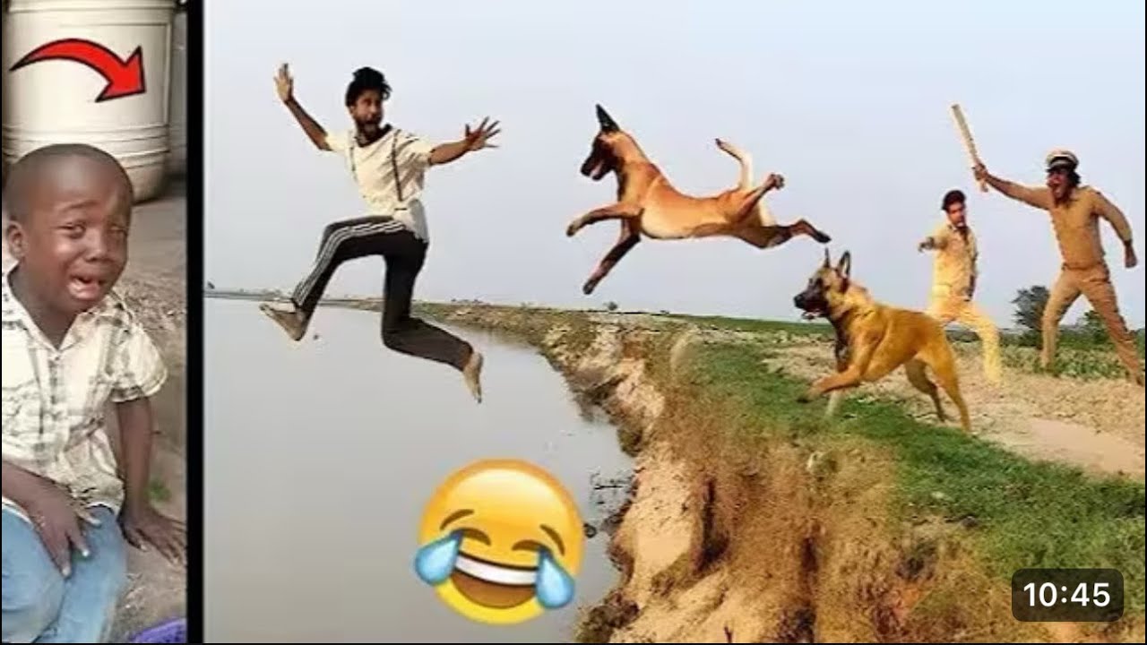 Try Not To Laugh Challenge 😂 ▶️ LEVEL 71 | Instant Regret Fails Compilation 2026