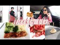WEEKLY VLOG; Back Home From Holiday, Cleaning & Cooking Marathon!| Zeinah Nur
