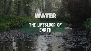 The Lifeblood of Earth: Unveiling the Importance of Water