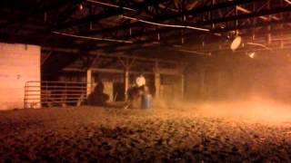 All Eyes On The Bug. Ben