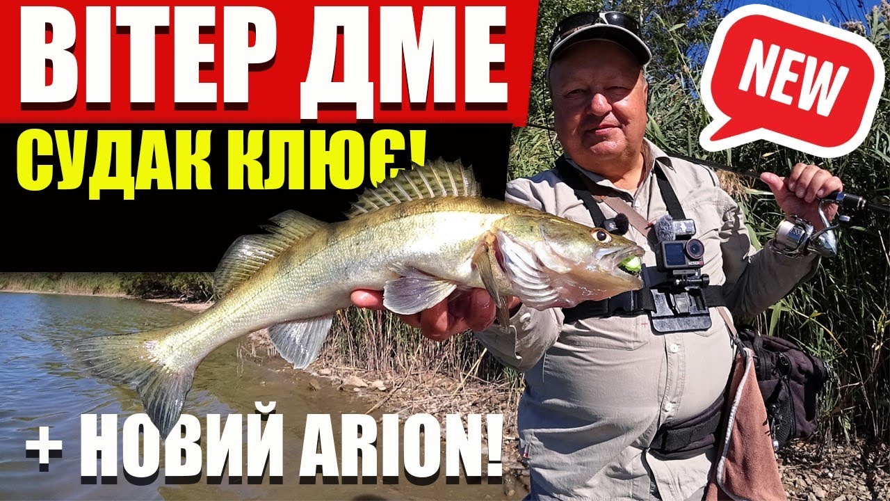 Прикмета врятувала судачу сесію! Тест-драйв нового Crazy Fish Arion 862MLT