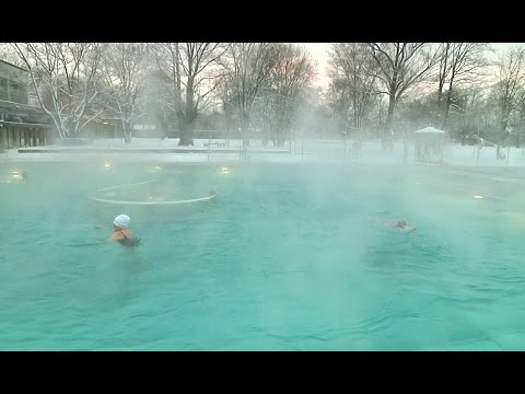 Video: Glastüren Für Saunen Und Bäder: Sorten, Geräte, Komponenten, Installations- Und Betriebsmerkmale