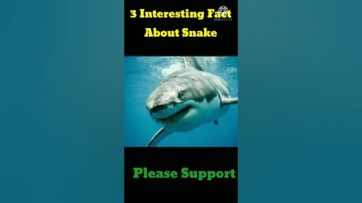 Amazing Fact about Snake|| 3 Interesting Fact about Snake||Unknown || #viral #short #subscribe #like