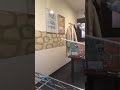 スペードエース若き獅子 ささきいさお cover  番場ともきち(笑)