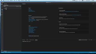Testing an Erlang Plugin with VSCode - CSE 121e
