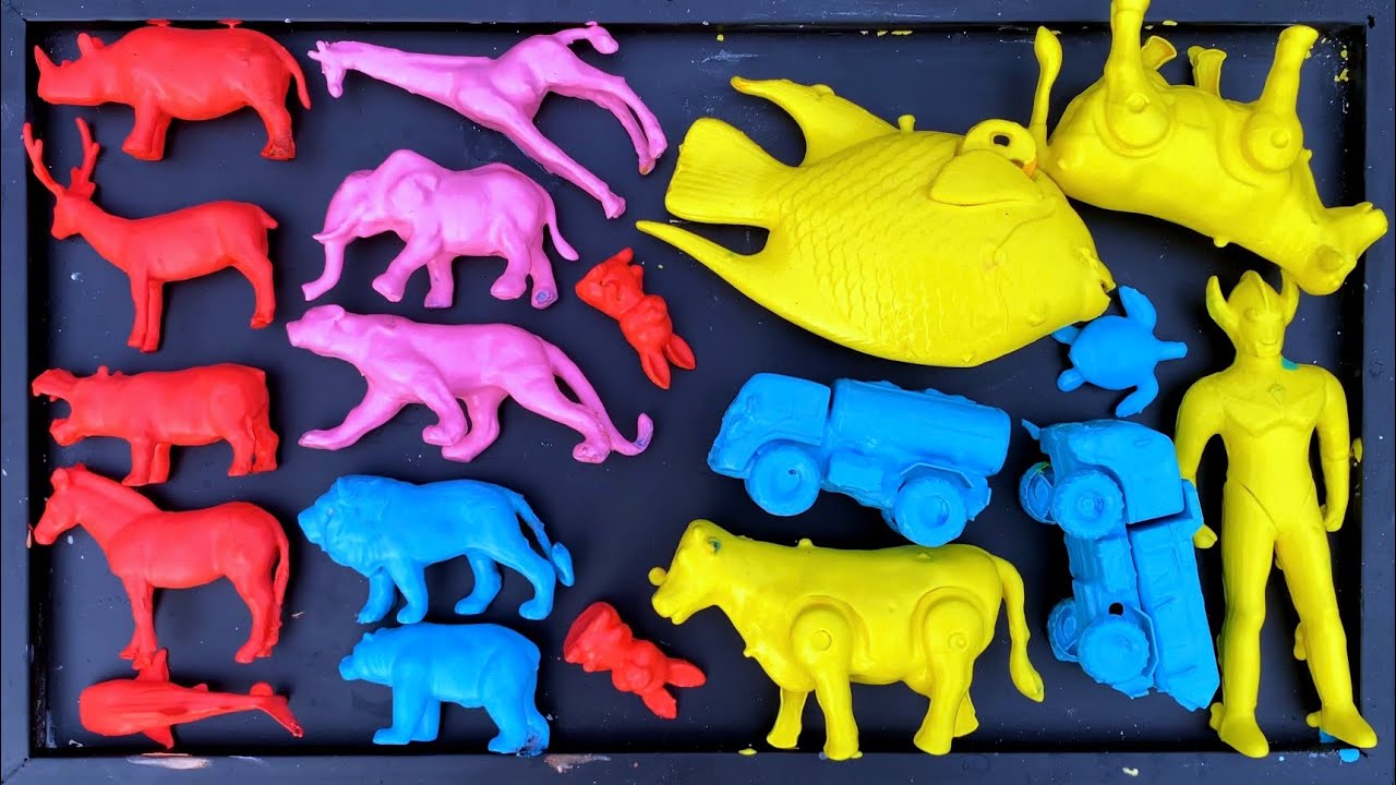 Membersihkan mainan mobil mobilan,mobil tengki,mobil dump,sapi,gajah,zebra,kelinci,kuda nil,beruang