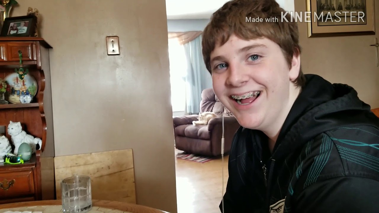 pythons for sale Vlog#71