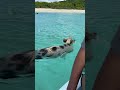 DITL private chef on a yacht! #privatechef #yacht #sailing #catamaran #chef