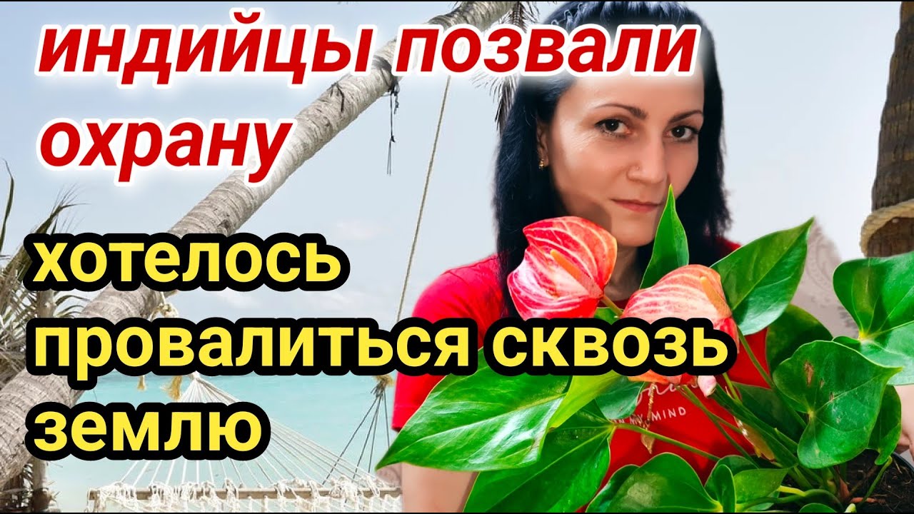 Наташа индия ютуб