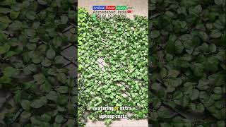 Manufacturer Francine adjustable Artificial green wall decoration #fracineartificialgreenwalldecor